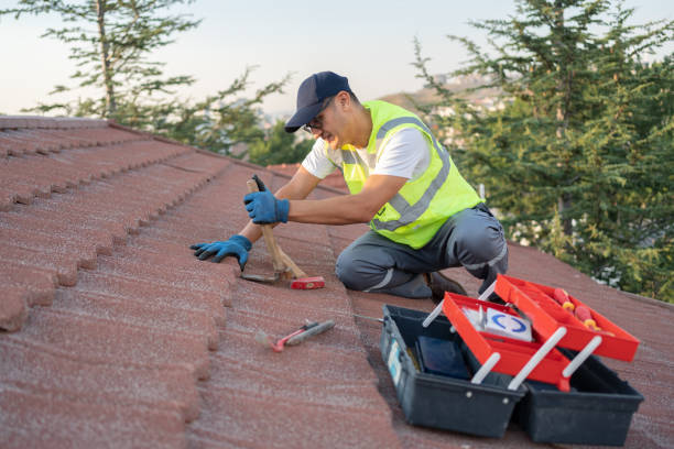 Best Sealant for Roof  in New Concord, OH